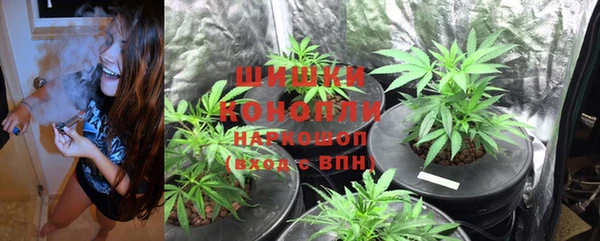 ГАЛЛЮЦИНОГЕННЫЕ ГРИБЫ Алексин