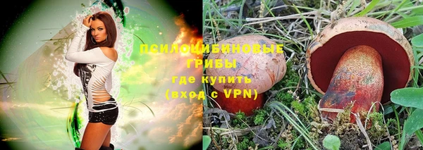 ГАЛЛЮЦИНОГЕННЫЕ ГРИБЫ Алексин