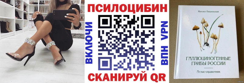 Псилоцибиновые грибы GOLDEN TEACHER  Стародуб 