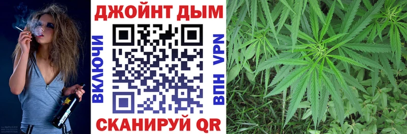 Шишки марихуана OG Kush  Стародуб 